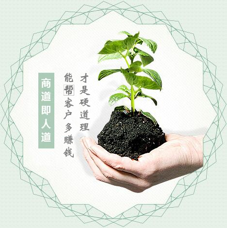 蔬菜種子經(jīng)營(yíng)，商道即人道