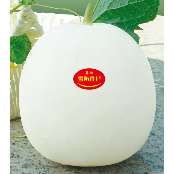 薄皮甜瓜，哪個(gè)品種最好呢？畝產(chǎn)高達(dá)10萬，附4種市場(chǎng)爆款品種
