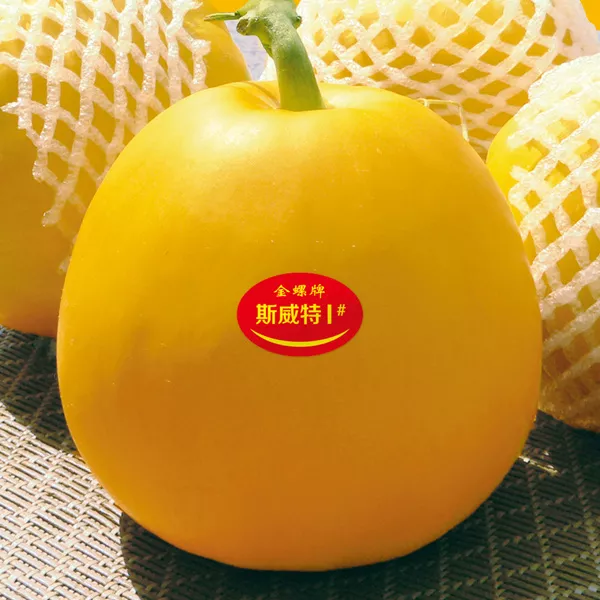 薄皮甜瓜，哪個(gè)品種最好呢？畝產(chǎn)高達(dá)10萬，附4種市場(chǎng)爆款品種