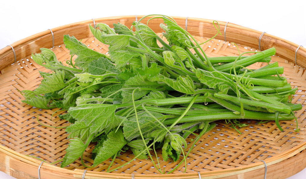 種這種綠葉菜，栽培輕松，畝產(chǎn)值過萬元，菜農(nóng)表示很劃算