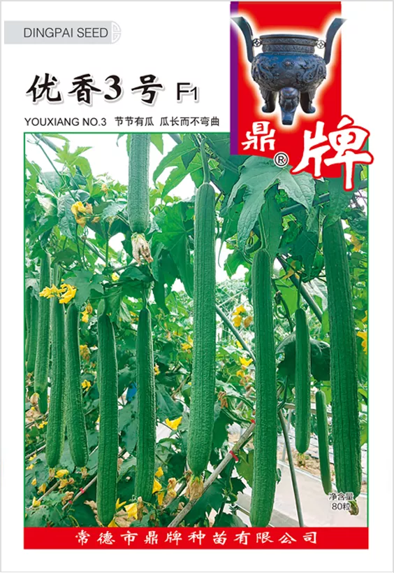 它是絲瓜種植戶的新選擇，節(jié)節(jié)有瓜，瓜長而不彎曲