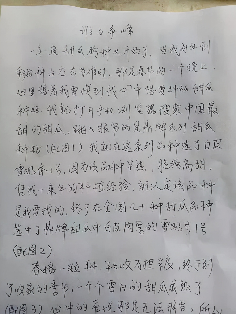 河南焦作的李向林今年種植甜瓜新品種，客戶直接拉貨走人