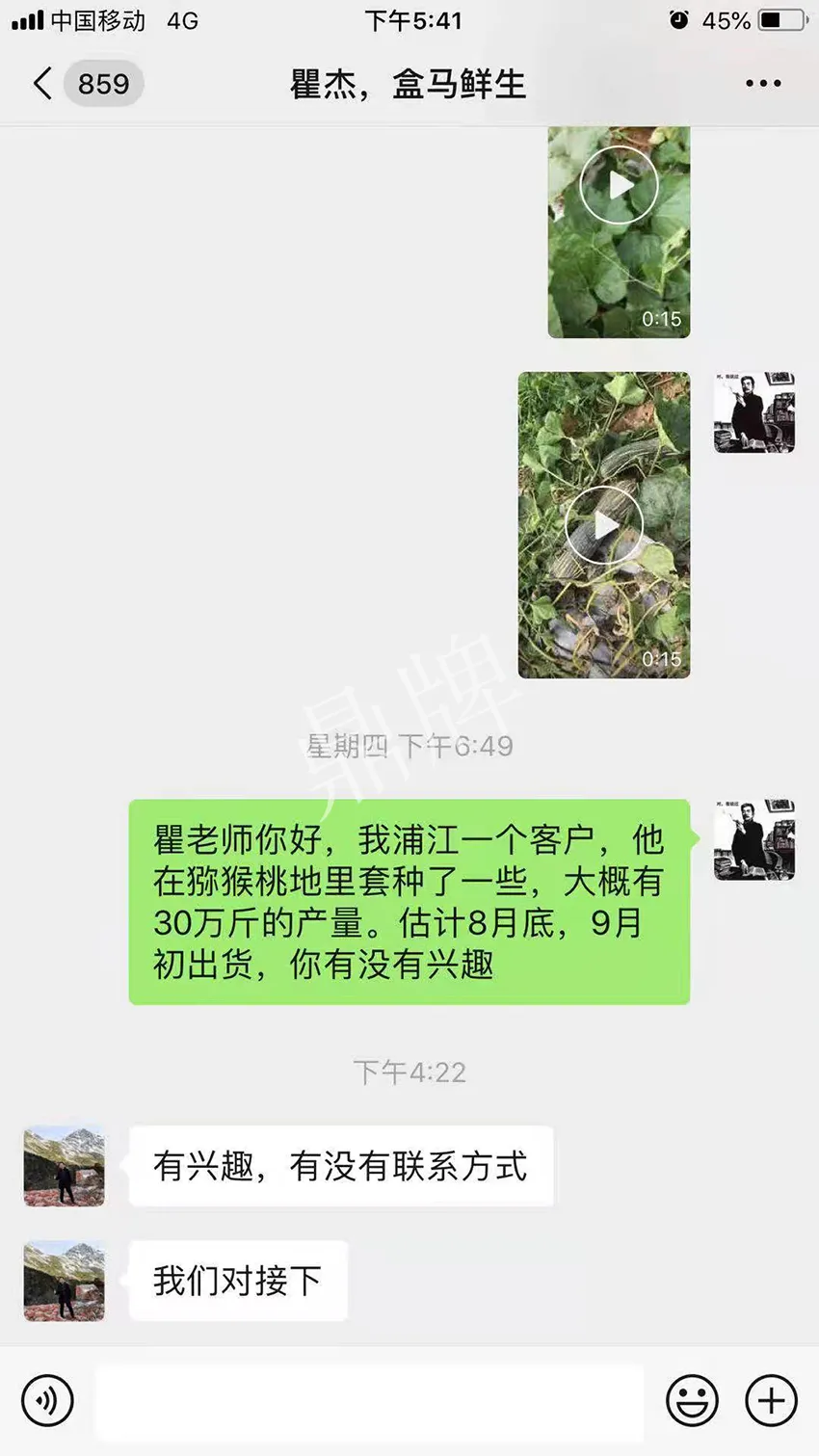 四川農戶今年種“健美蜜本”南瓜產量高，品質好，感覺巴適得很